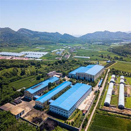 productcate-450-450 productcate-450-450